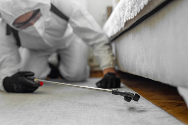 Professional Cockroach Control technician working in Mission, KS