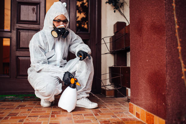 Reliable Cockroach Control contractor in Mission, KS by Nex Pest Control